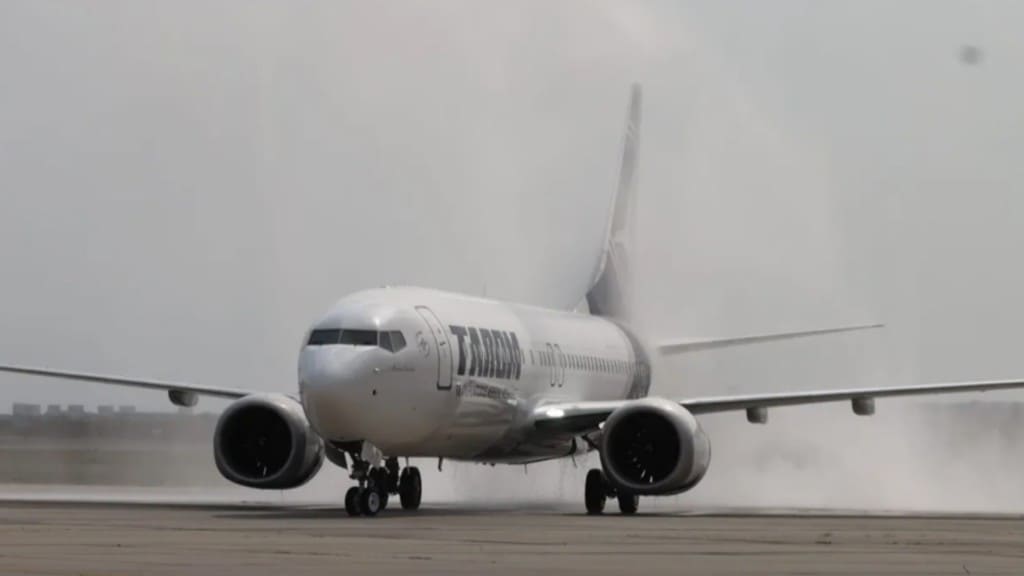 Nuevo Boeing 737 MAX 8 de Tarom