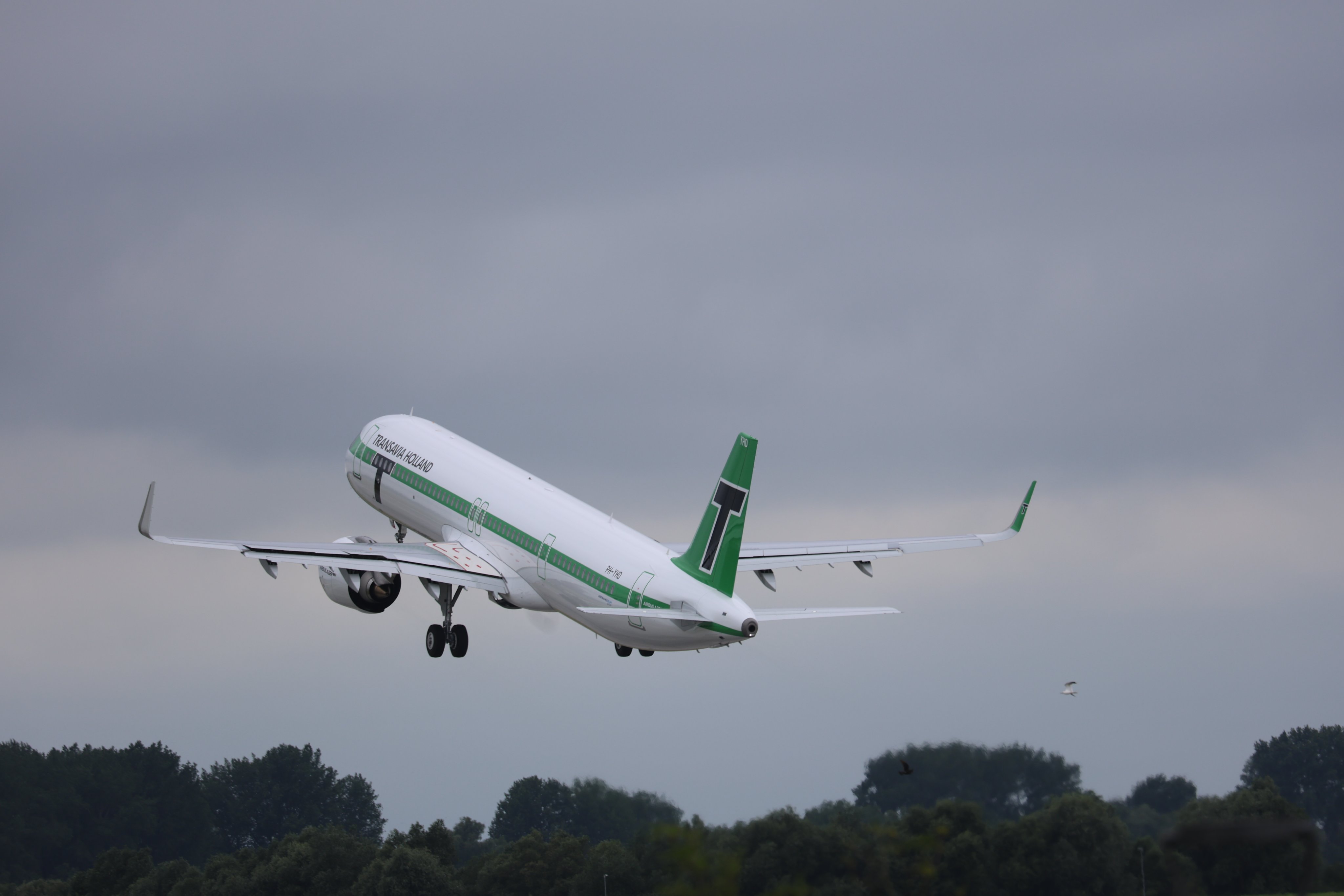Airbus 321neo de Transavia despegando