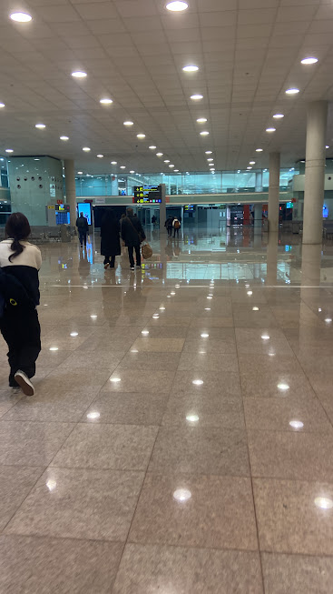 Llegada al Aeropuerto de Barcelona