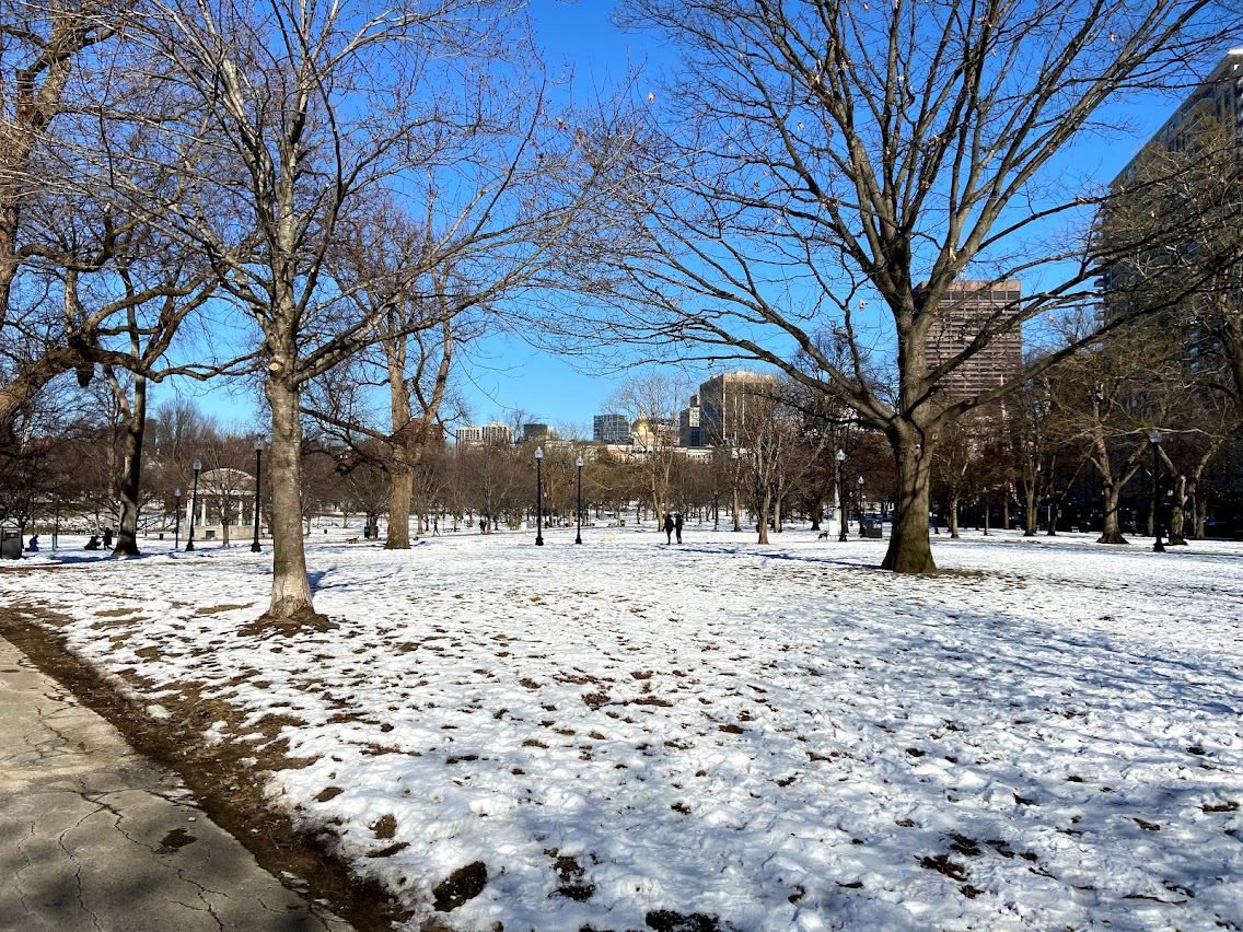 Vista del Boston Common nevado